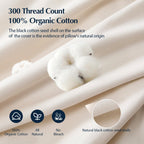 Luxury Down Bed Pillow Medium Support Cotton Cover King Size