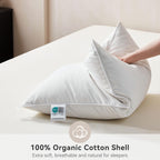 Goose Feather Down Pillows Soft Breathable Cotton Cover Set