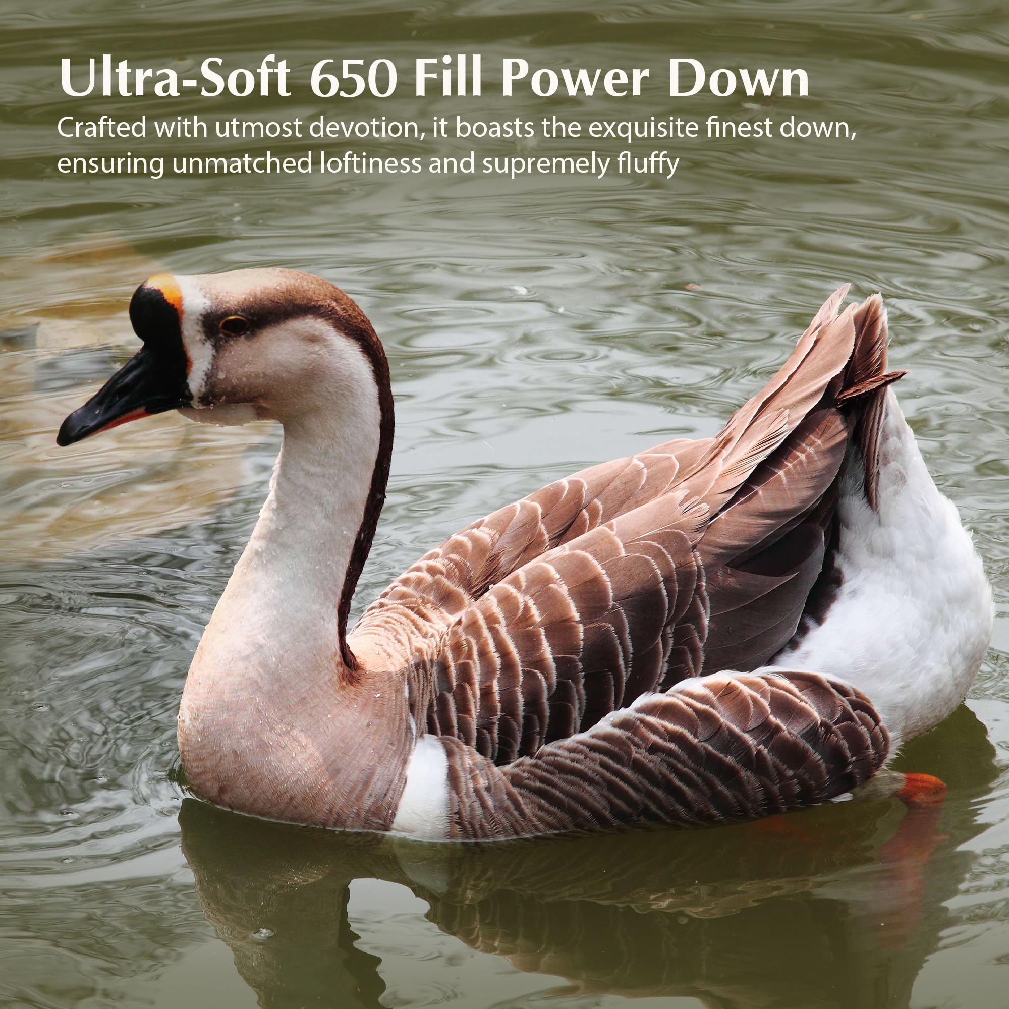 Luxury Down Bed Pillow Medium Support Cotton Cover King Size